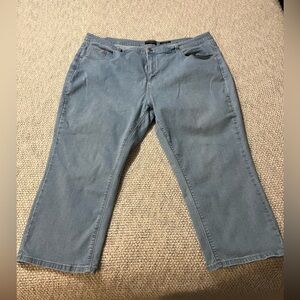 24W Petite Crop Straight Leg Jean -Light Wash - Woven Stretch Denim-Susan Graver